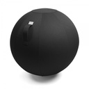 LEIV ergonomic sitting ball
